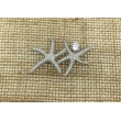 Broche estrella mar plata y circonitas 