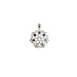 Colgante roseton Chakras Plata 1ªLey 925mm